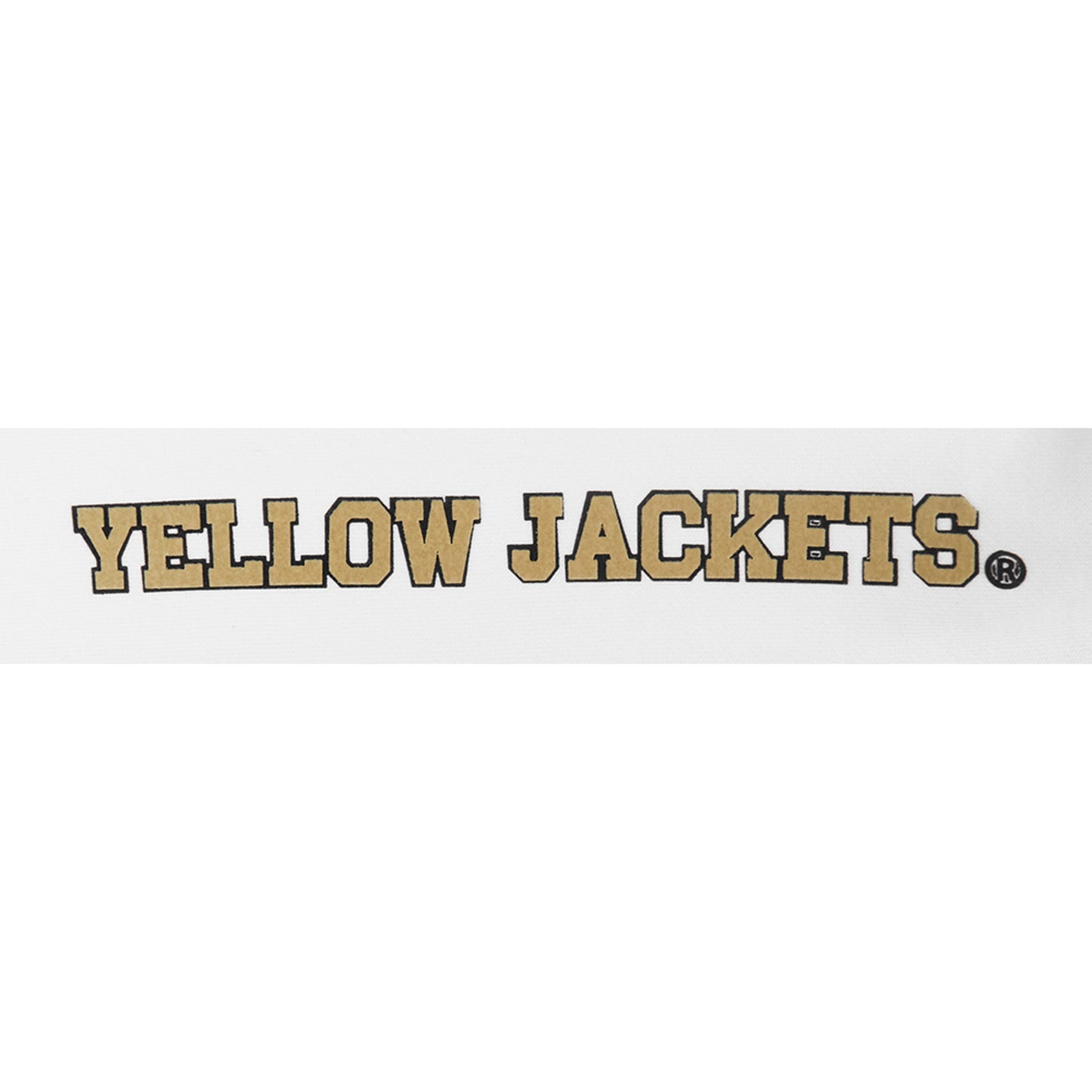 Georgia Tech Yellow Jackets Long Sleeve Crewneck Wordmark Sweatshirt In White - Logo View