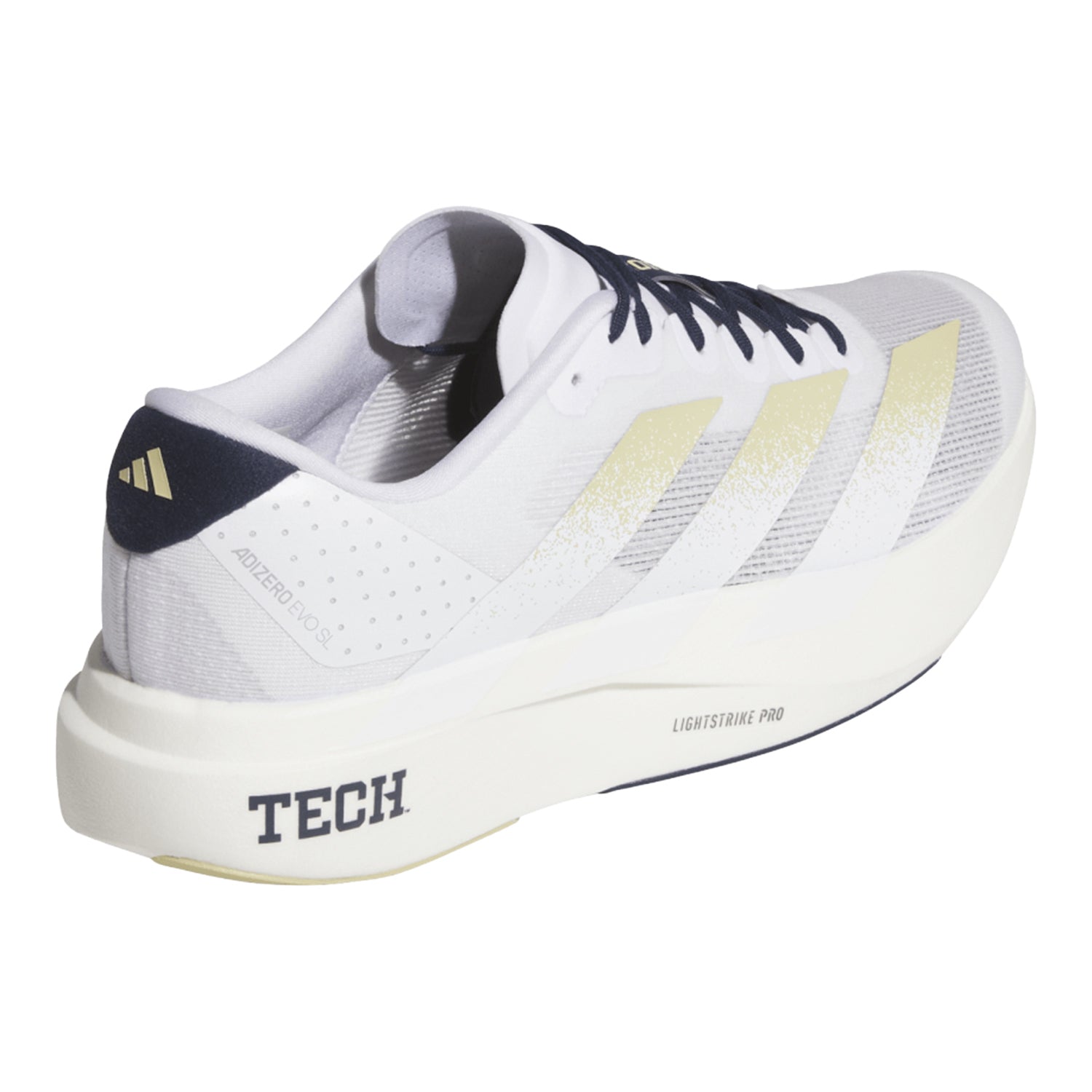 Georgia Tech Yellow Jackets Adidas Adizero Evo Sl Running Shoes In White - Back Side View