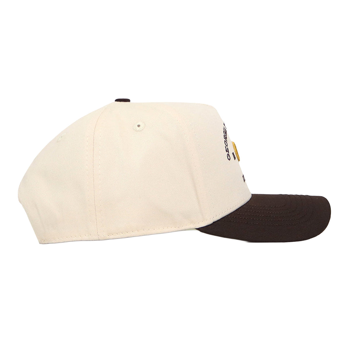 Georgia Tech Yellow Jackets Outlaw Arch Wordmark Two Tone Hat – Cream/Black